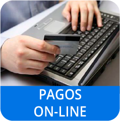 PAGOS ON-LINE